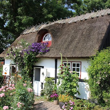 Travel Back In Time Guest House Nyord Eksteriør bilde