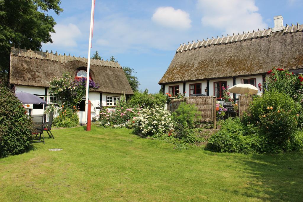 Travel Back In Time Guest House Nyord Eksteriør bilde