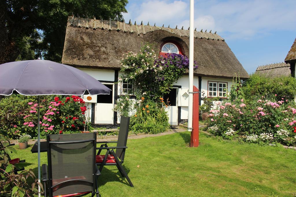 Travel Back In Time Guest House Nyord Eksteriør bilde