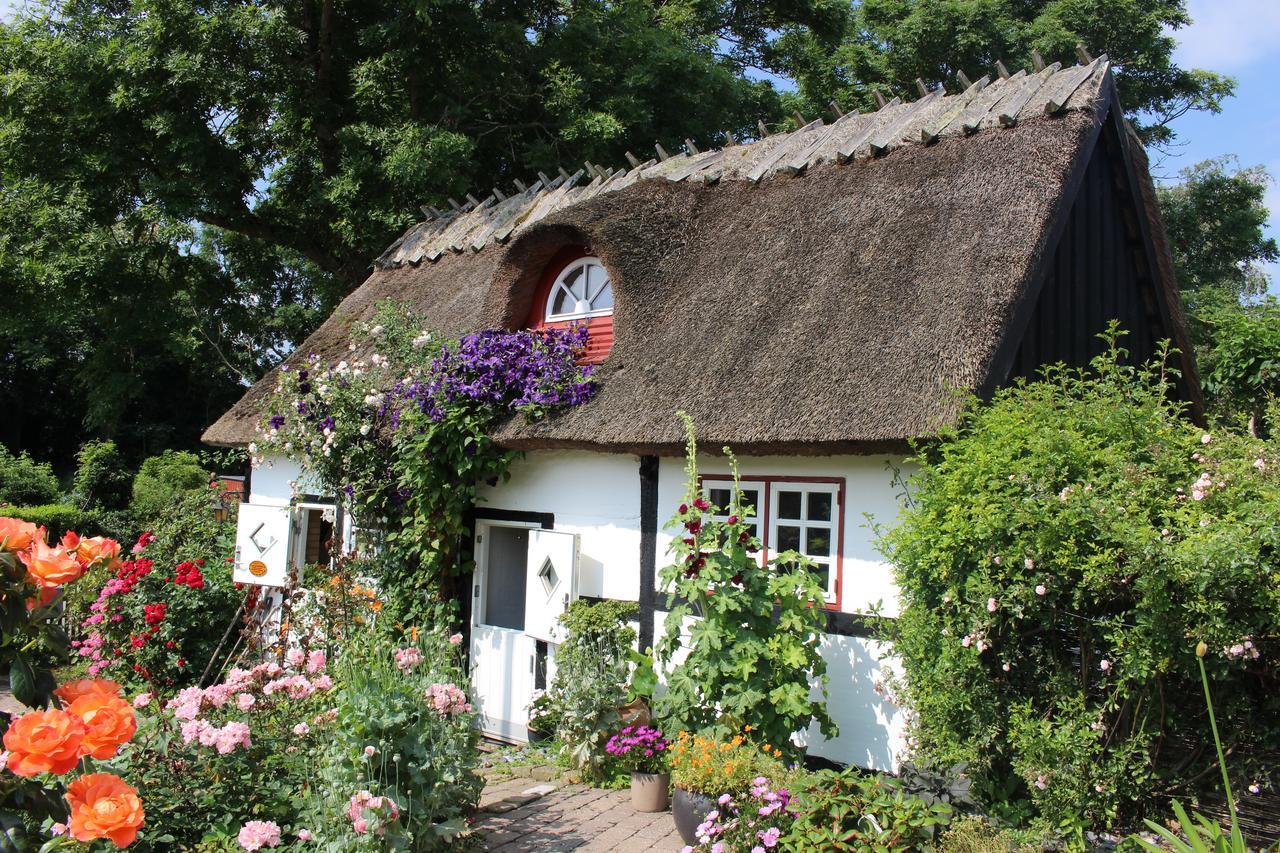 Travel Back In Time Guest House Nyord Eksteriør bilde